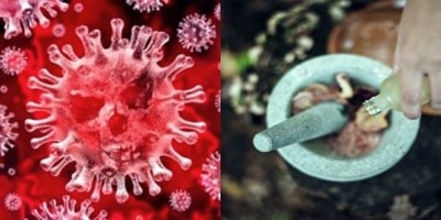 CCMB to assess Ayurveda's efficacy against coronavirus