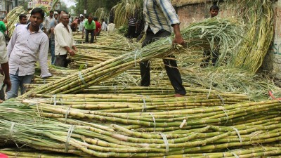 Centre's ethanol focus positive for sugar industry, as exports likely to reduce: Ind-Ra