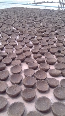 Covid brings back wood ash in demand for dishwashing