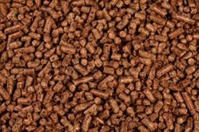 Fuel pellets to help raise UP farmers' income