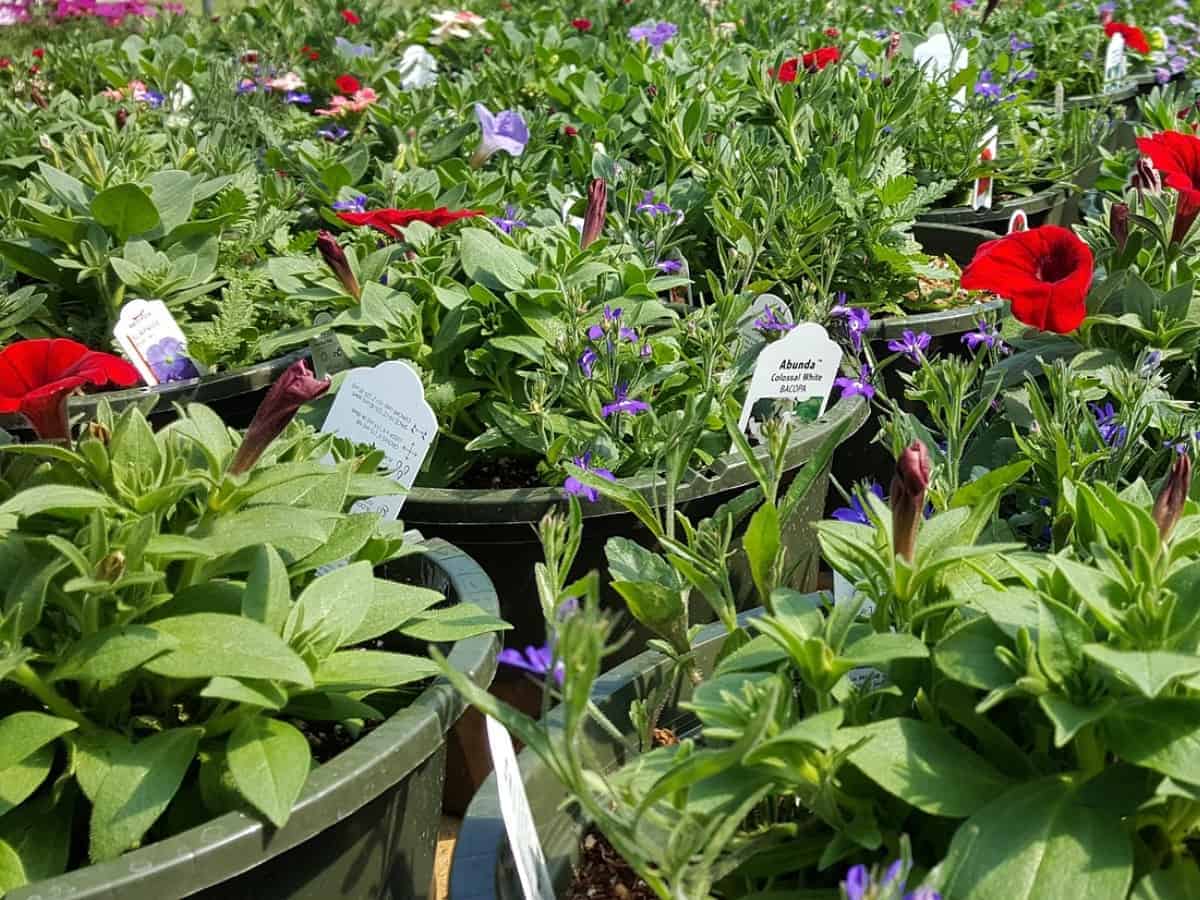Nursery