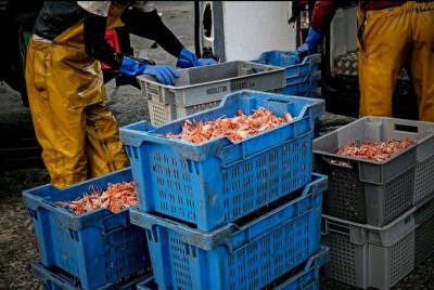'Scottish seafood businesses only have weeks to survive due to EU export delays'