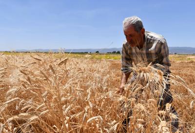 UN humanitarian chief voices concern over Syrian economic crisis