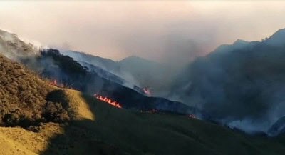 Week-long battle against wildfire continues in Nagaland, Manipur