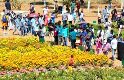Farmers need to form FPOs to tap higher market potential: ICAR ADG