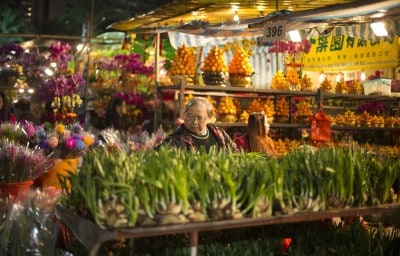 HKTB launches virtual event ahead of CNY to promote Hong Kong tourism
