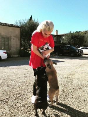 Lady Gaga’s dogs return unharmed