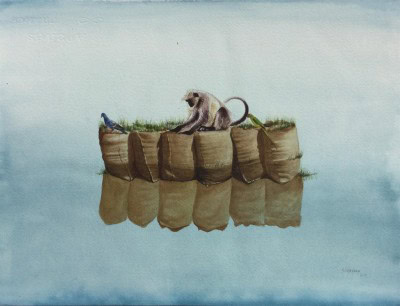 Nature becomes muse in these online exhibitions
