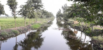 Nature sanitizes 41.7 mn ton of human waste every year: Study