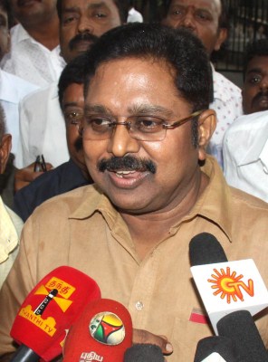 Roadshow only a beginning, says Sasikala's nephew