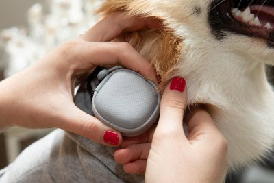 Samsung, LG unveil home appliances that take care of your pet