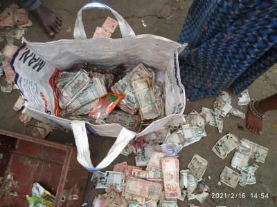 Termites feast on Andhra pork seller's cash worth Rs 5 lakh