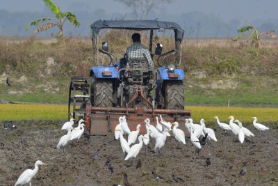 Farmers evolve rotation strategy to balance protests and farming