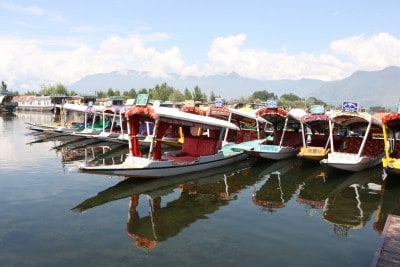 Spring in Kashmir oscillates between snow and bloom