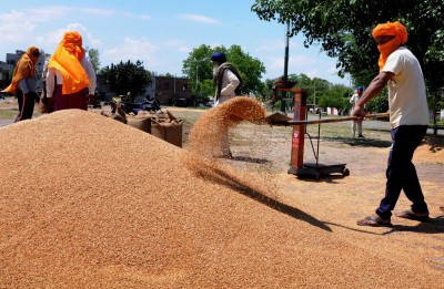 Yogi govt to purchase wheat directly from farmers
