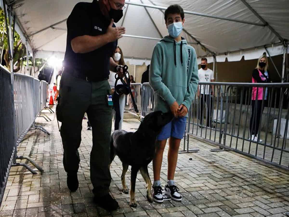 sniffer dogs