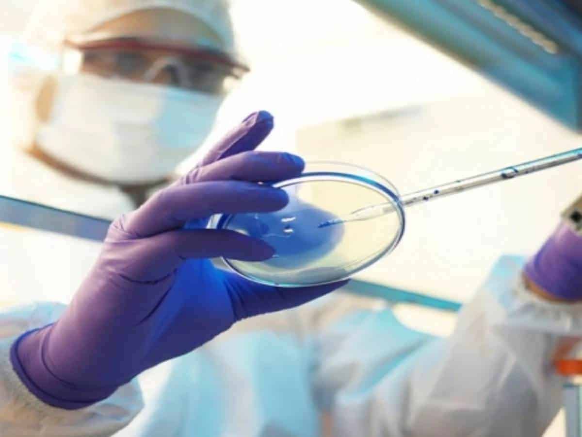 Covid: Black fungal can turn dangerous if left untreated