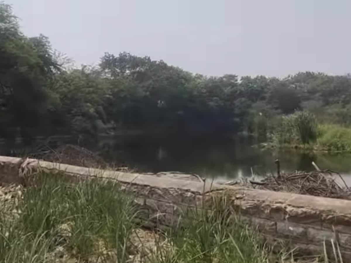 NGT says no improvement in Telangana's historic lake, warns of coercive measures