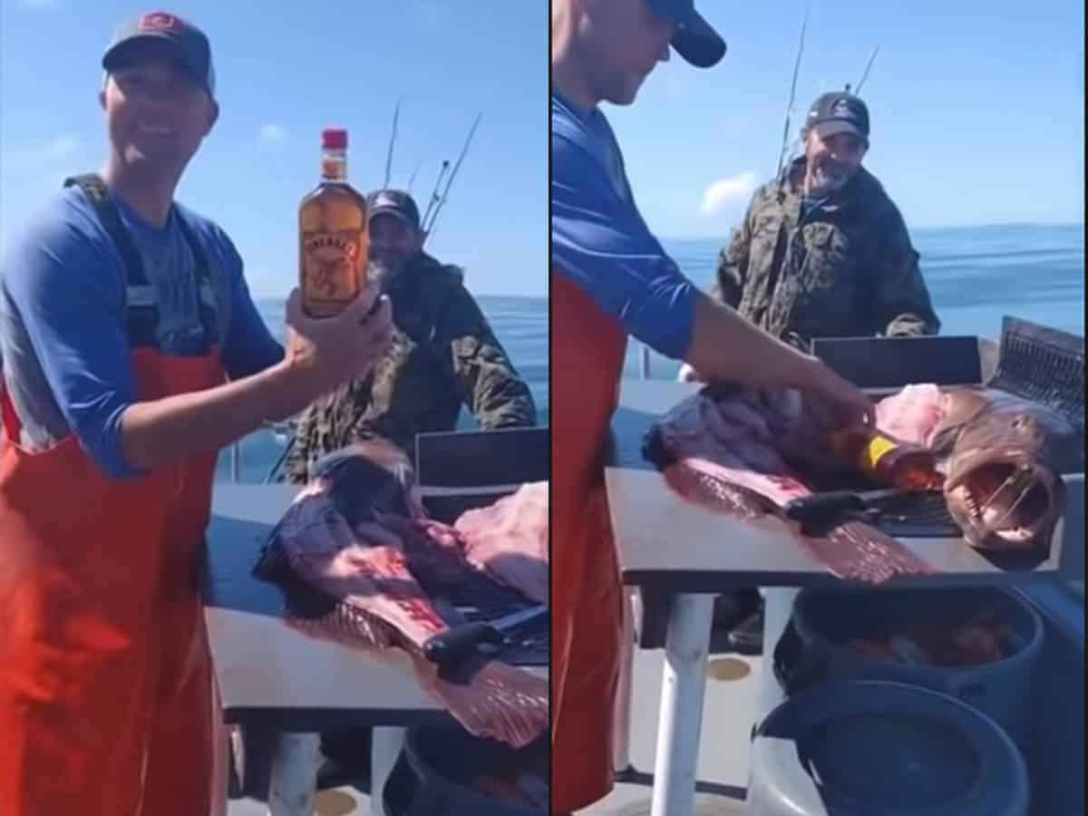 Fishermen fillet a fish to find Fireball Whisky inside