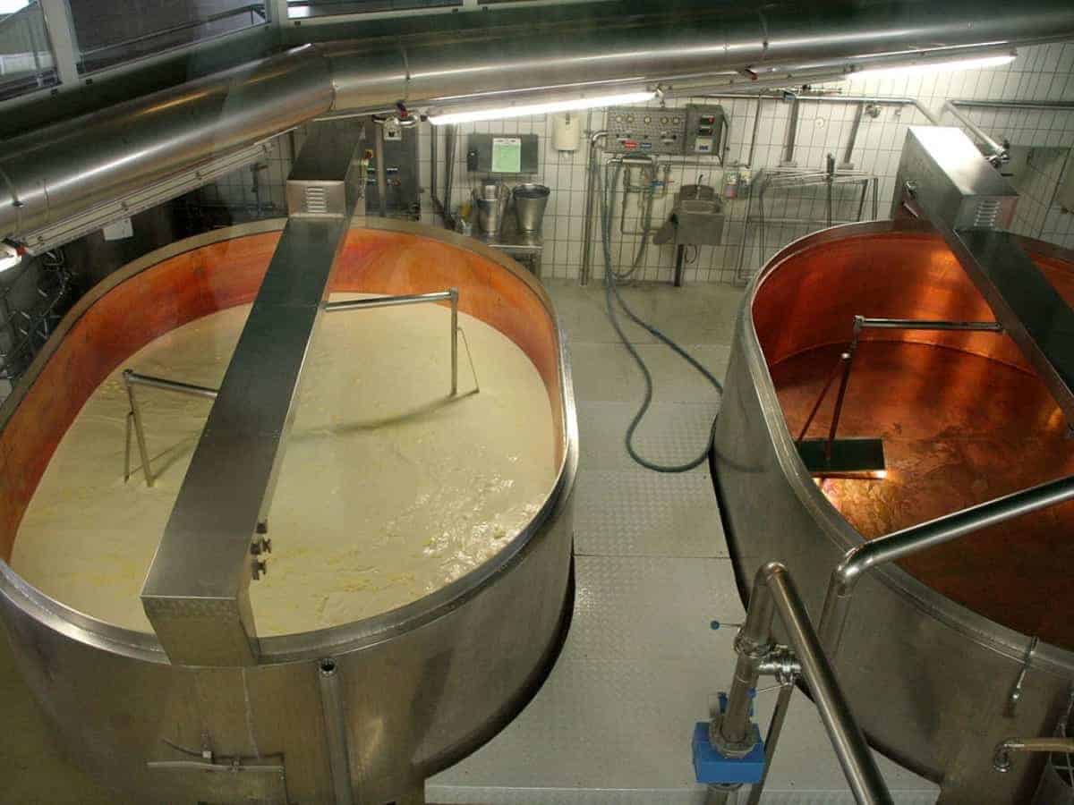 food processing