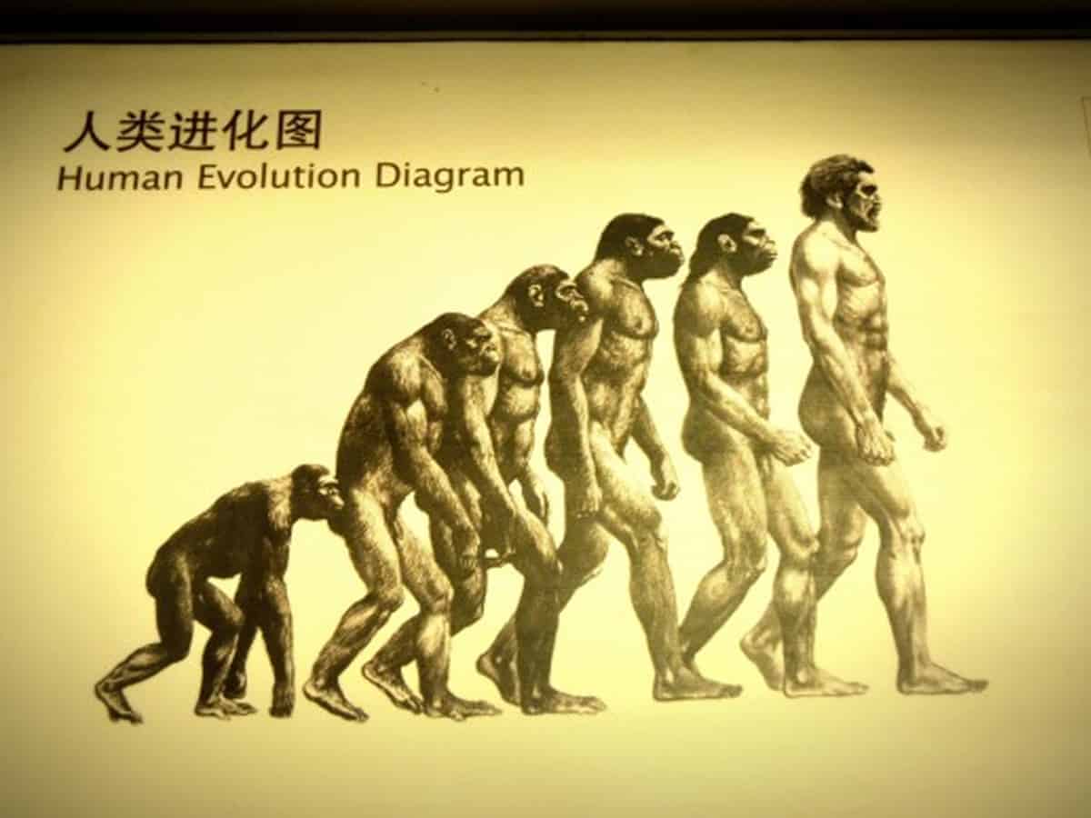 Latest China study sheds new light on human evolution