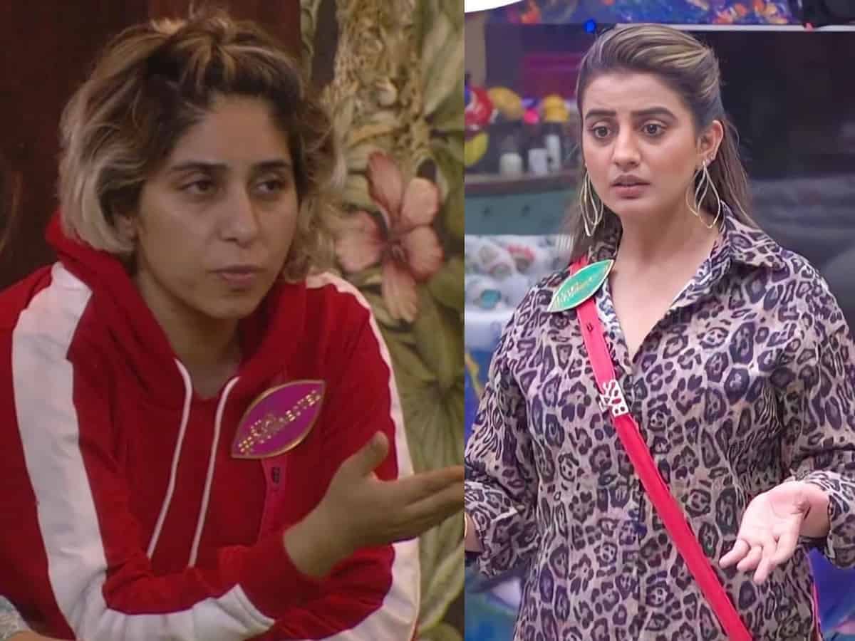Bigg Boss OTT: Akshara passes sensational comments on Neha