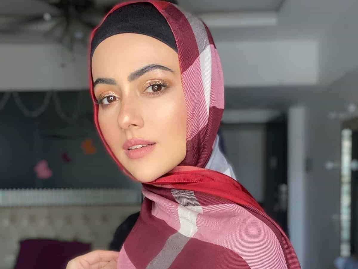 Breakup with Melvin to marrying Mufti Anas: Times when Sana Khan hit headlines