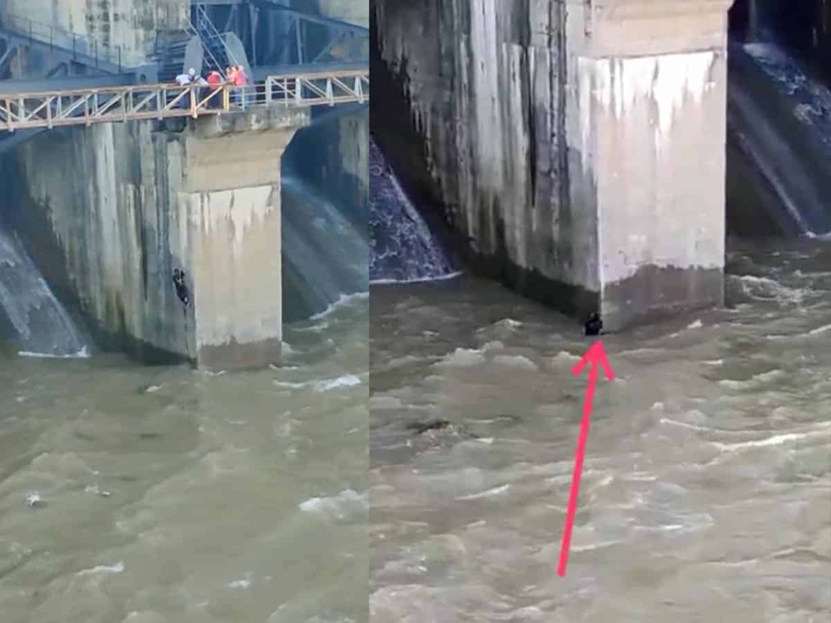 Elder brother washed away by Manjeera in an attempt to save sibling