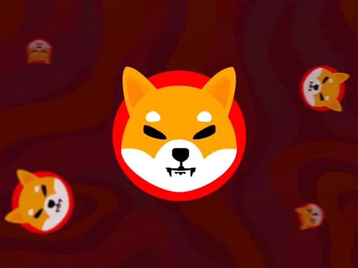 All you need to know about Shiba Inu