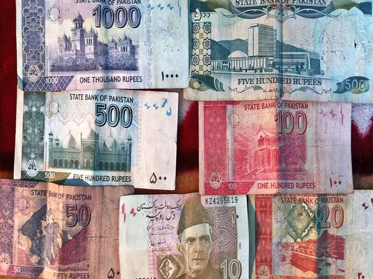 Pakistan's borrowings are about 95 pc of its GDP: Report