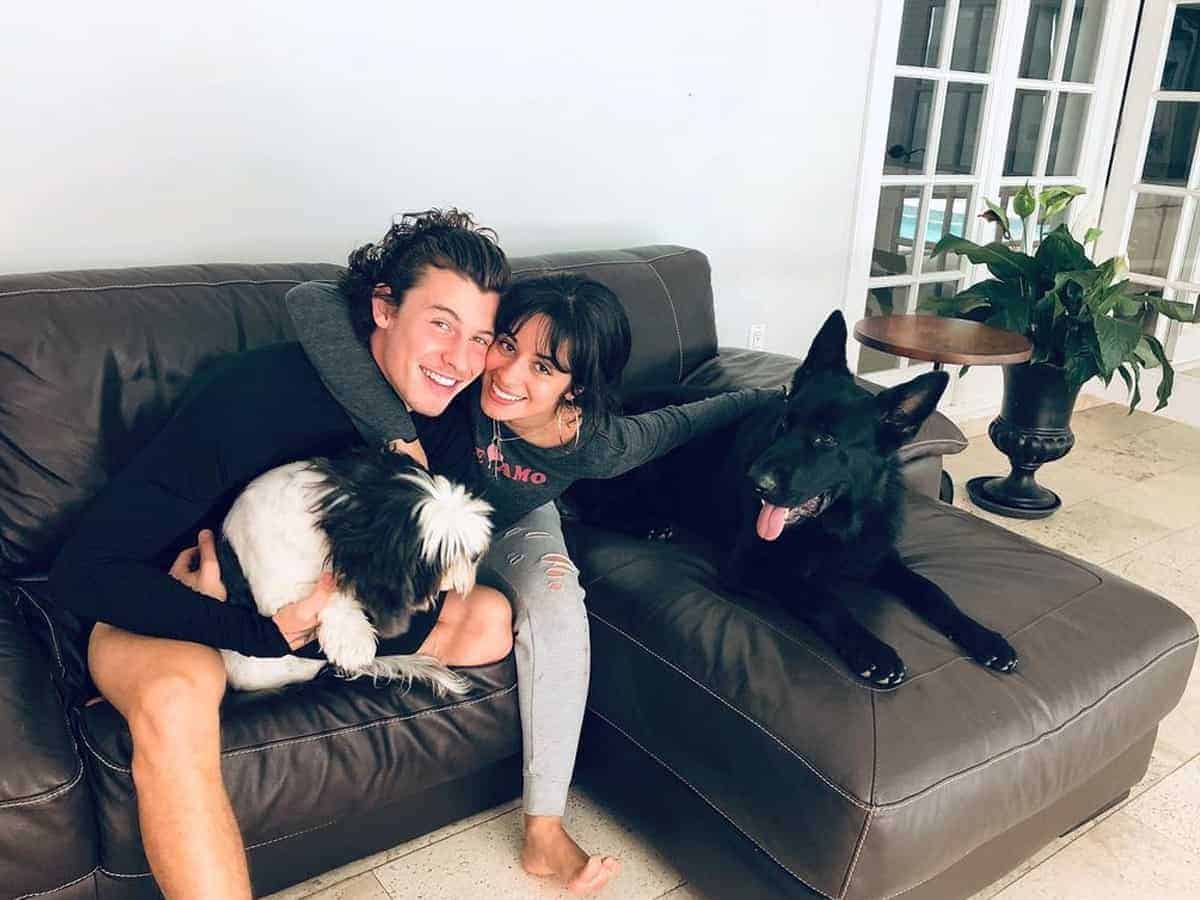 Shawn Mendes, Camila Cabello split after 2 years of dating