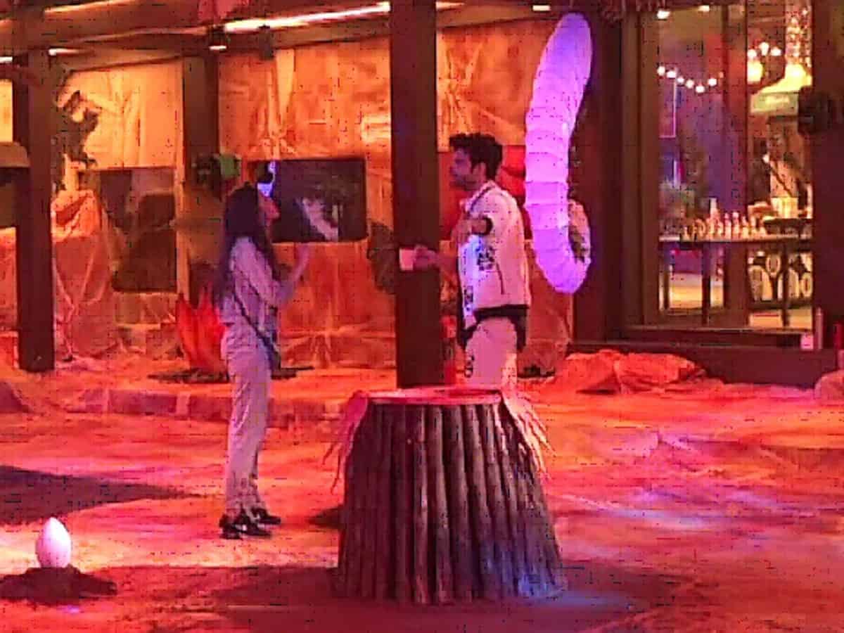 'Bigg Boss 15': Karan-Tejasswi spat gets nastier