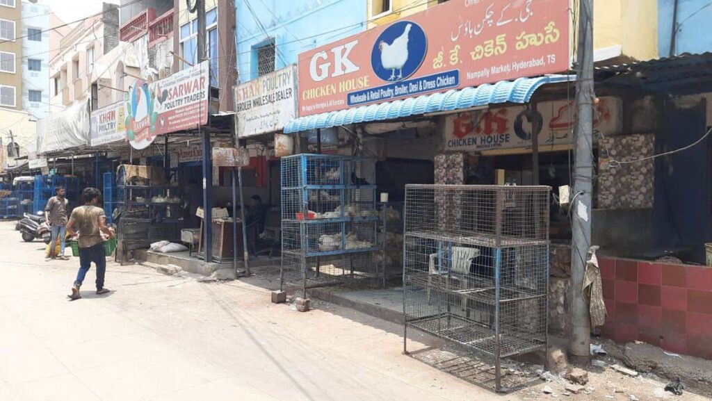 chicken prices in hyderabad