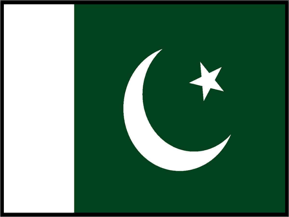 Pakistan leans on Qatar for LNG amid falling foreign currency reserves