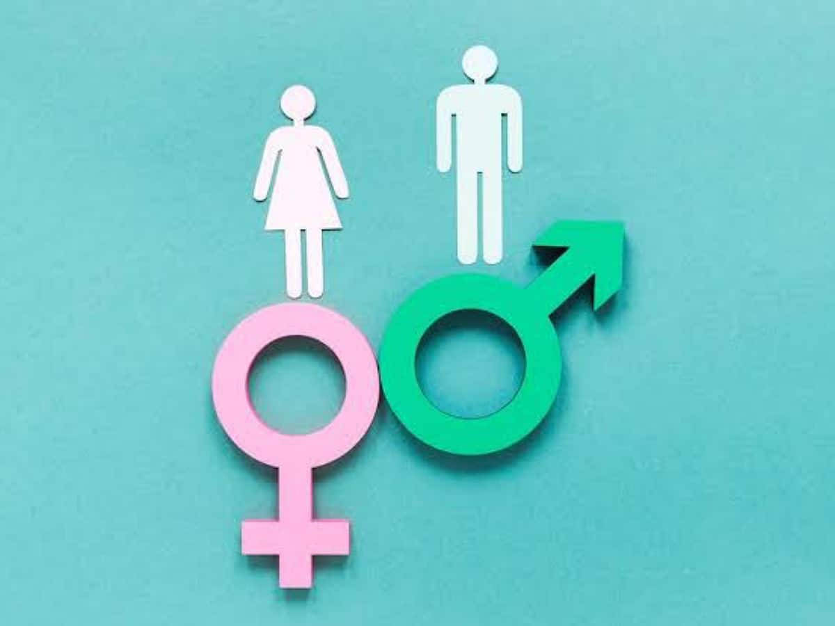 UAE leads Arab world in gender gap report 2022