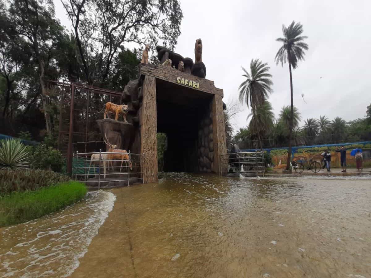 Hyderabad Zoo Park