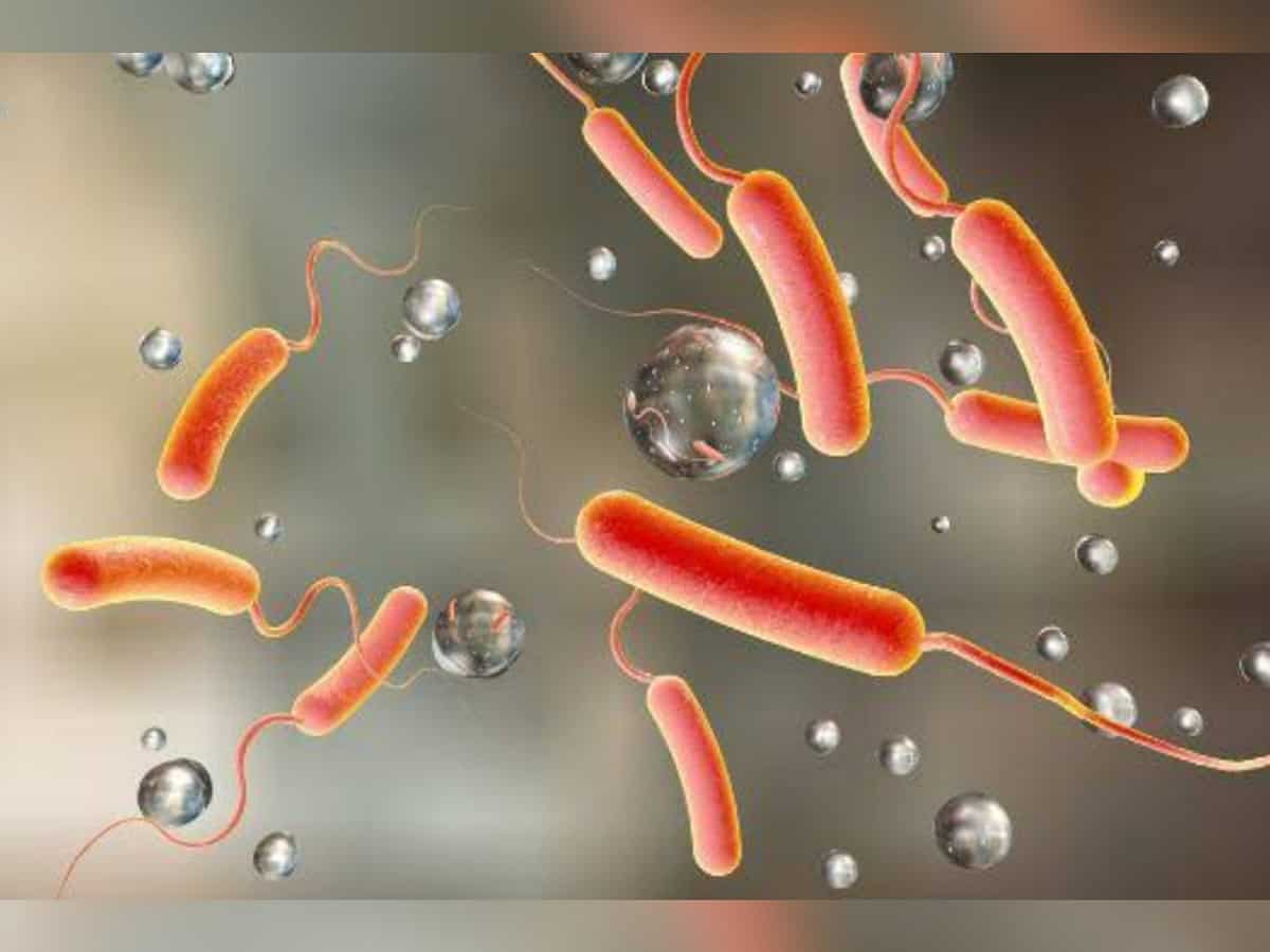 Cholera could become "endemic" if Lebanon fails to curb spread: Health minister