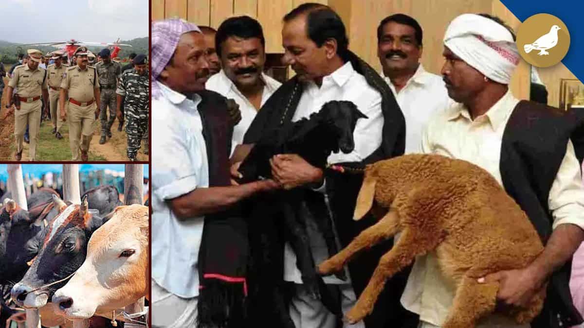 kcr