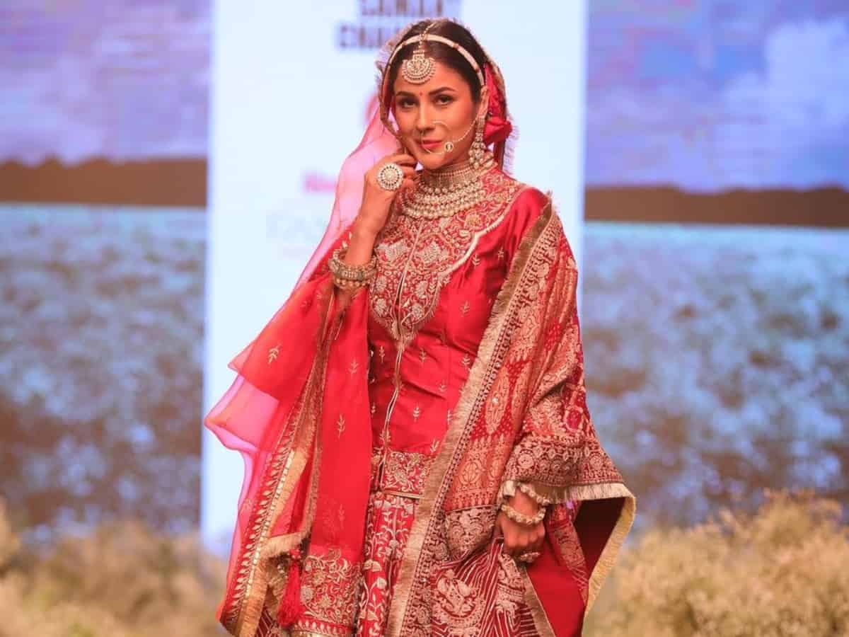 Past Blast: When Shehnaaz Gill's marriage reports shocked fans!