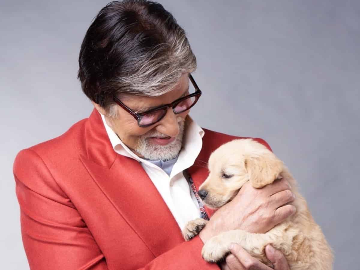 Amitabh Bachchan mourns death of his pet dog, shares emotional note