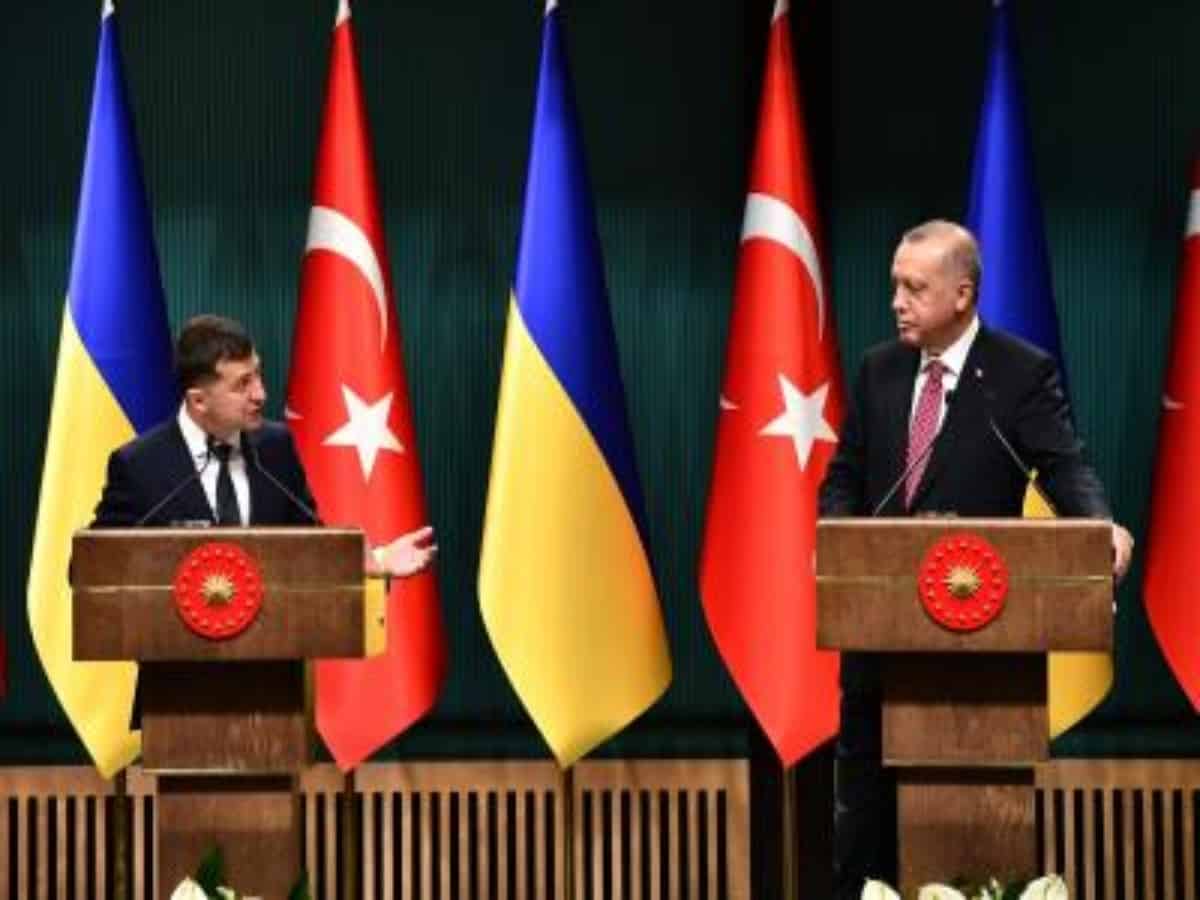 Erdogan, Zelensky discuss resumption of grain export deal