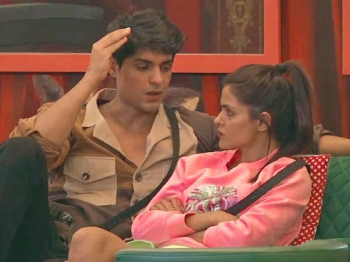 Bigg Boss 16: Cracks in Priyanka Choudhary, Ankit Gupta's bond