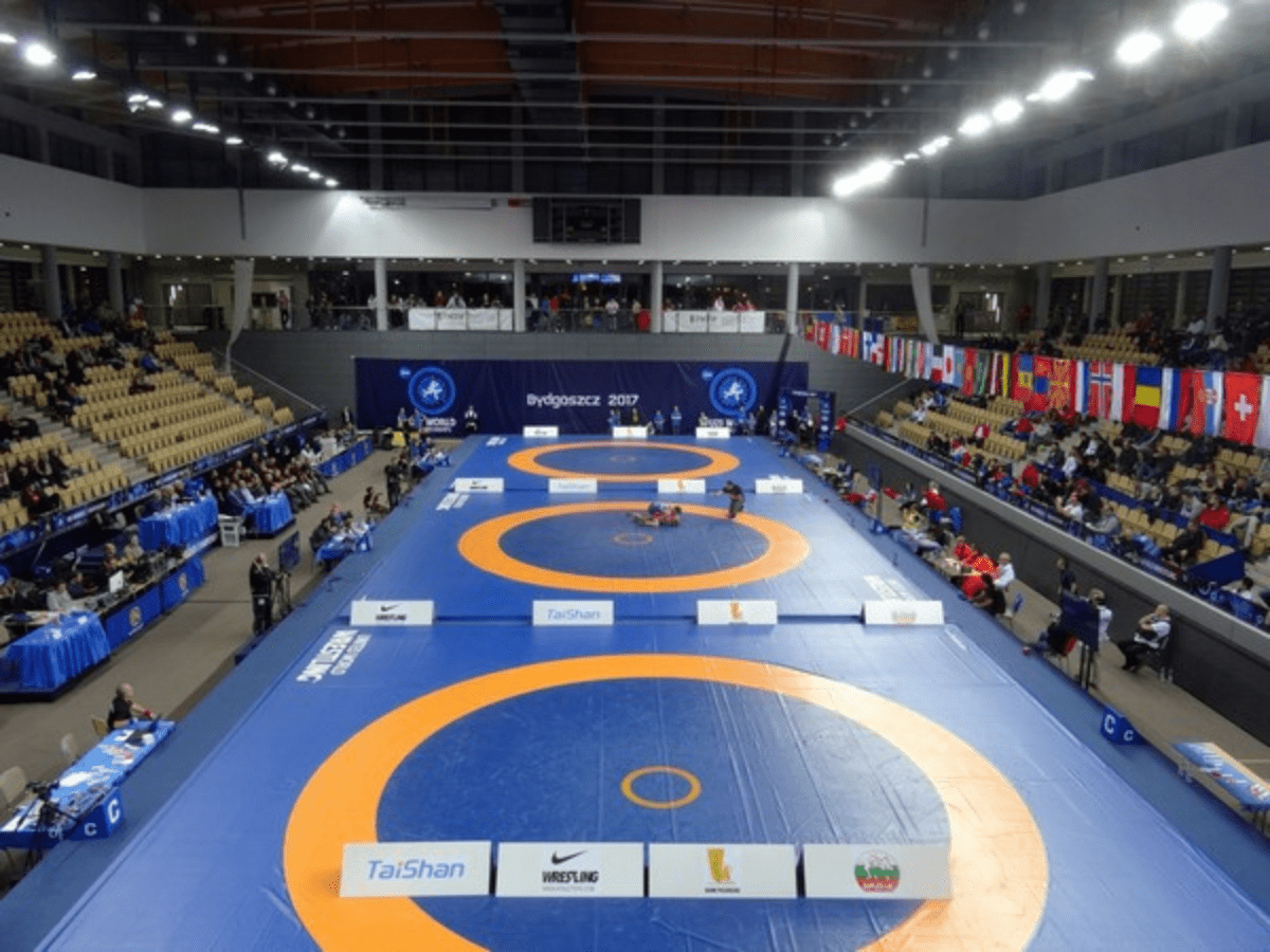 Committee formed to probe against WFI; Mary Kom, Yogeshwar Dutt included