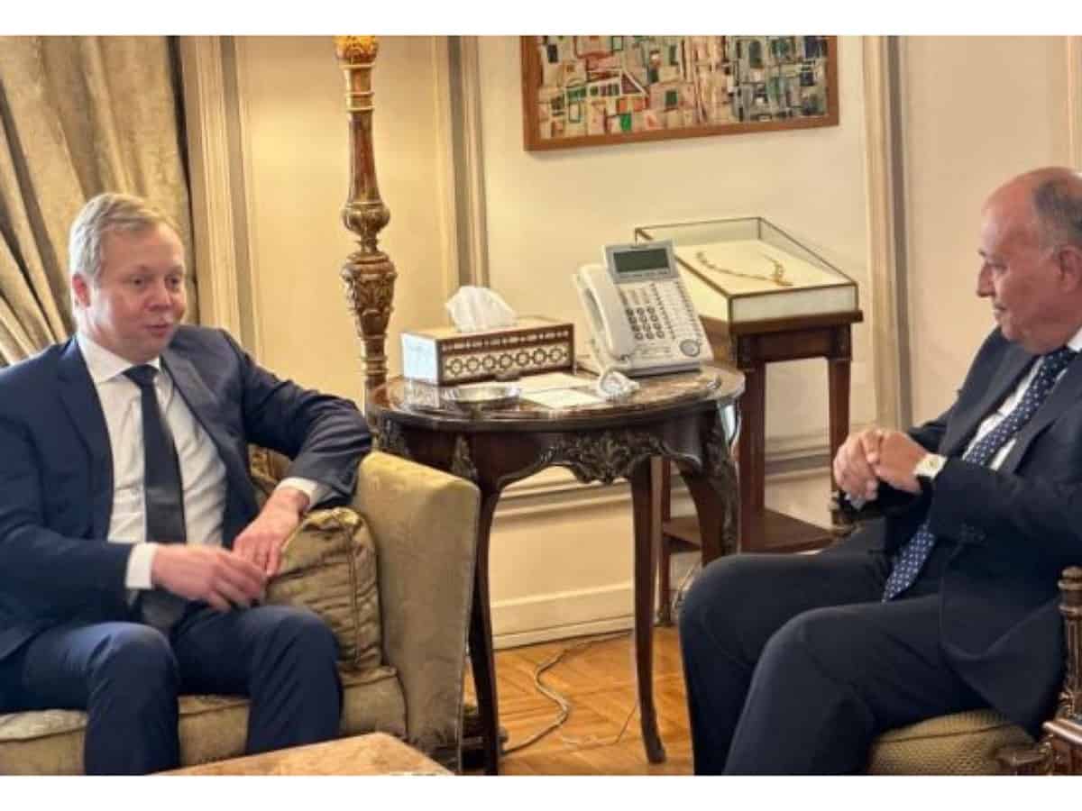 Egypt's FM, EU envoy discuss Israeli-Palestinian conditions