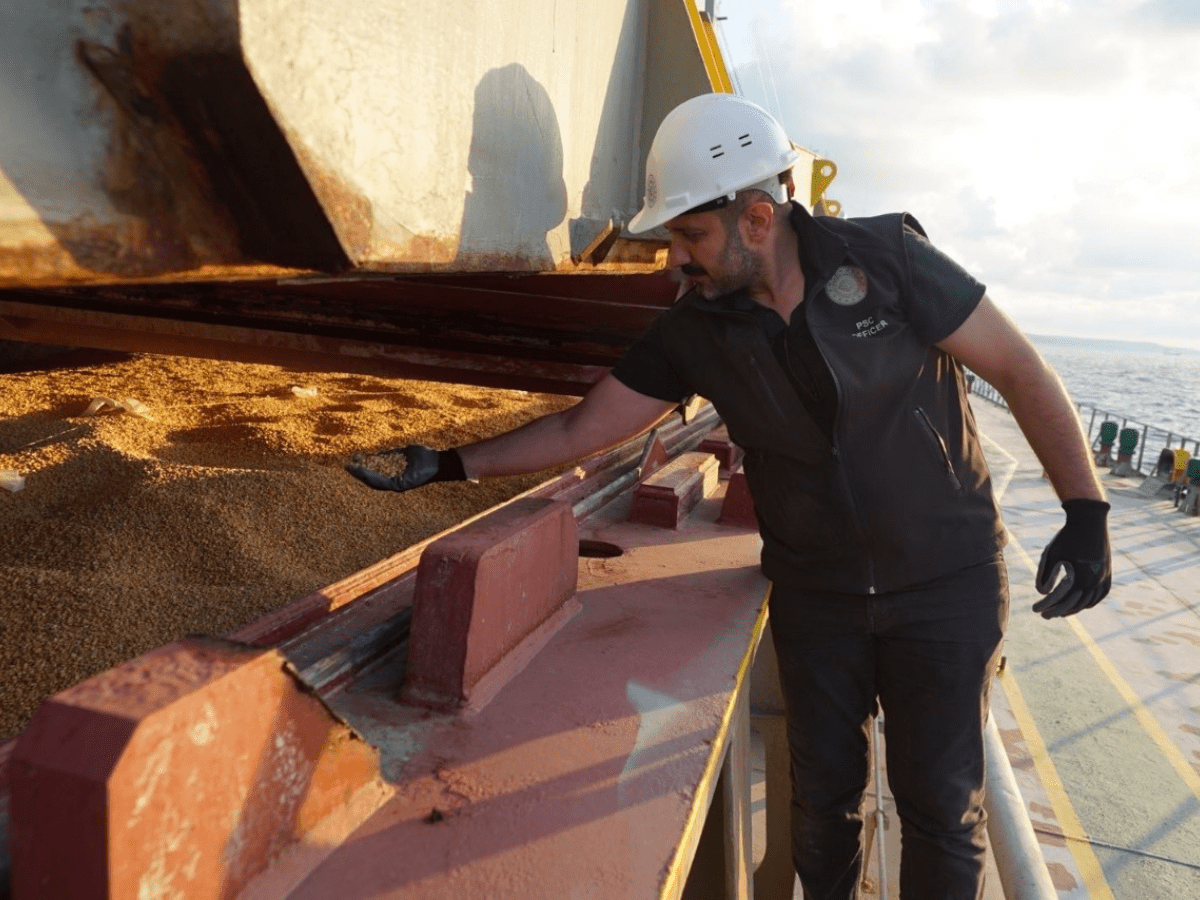 Ukraine's grain harvest to reach 49.5 mn ton this year: Forecast