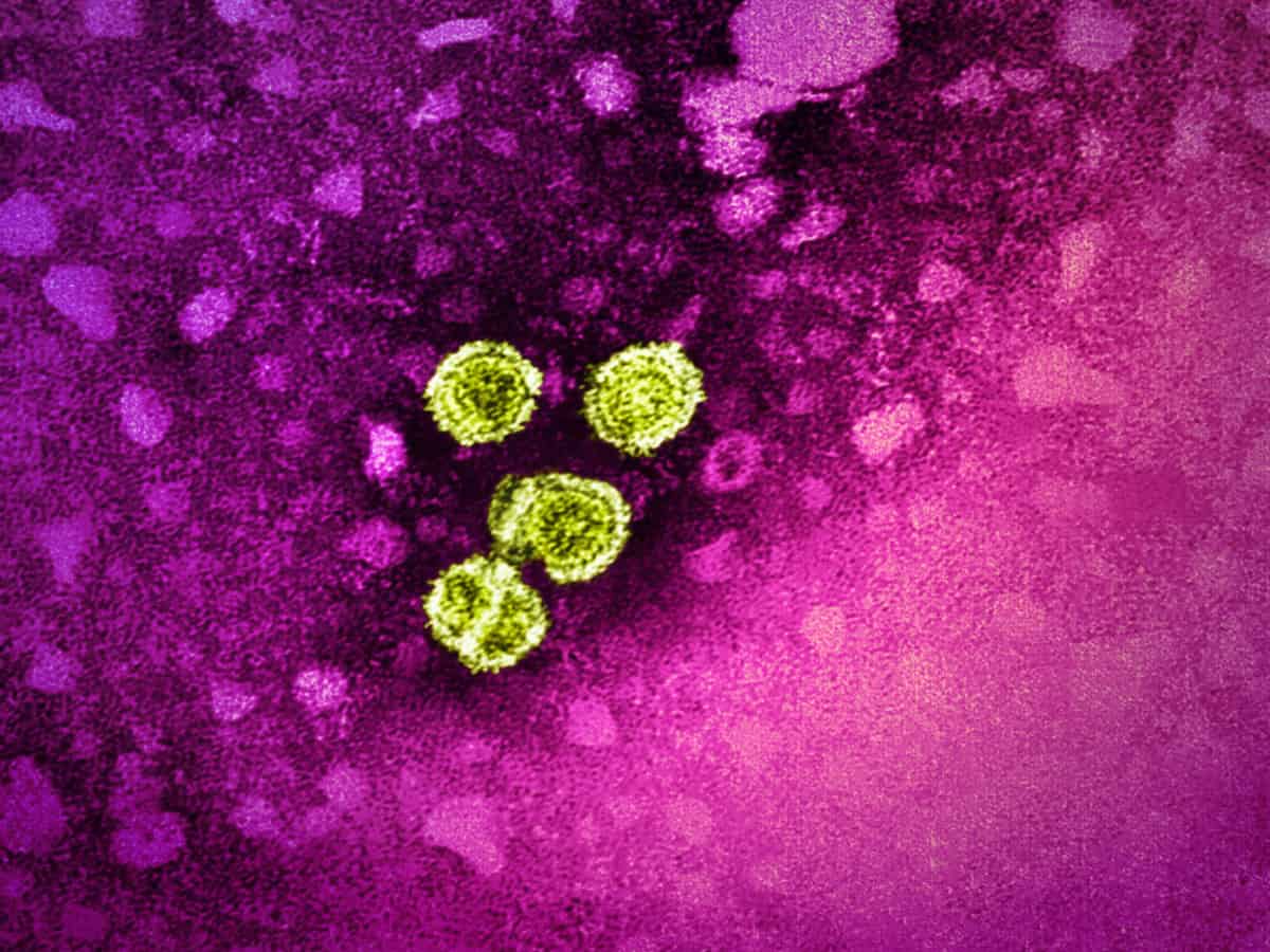 Two children test positive for HMPV in Chennai, recovering