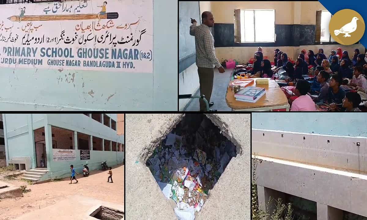 Govt schools
