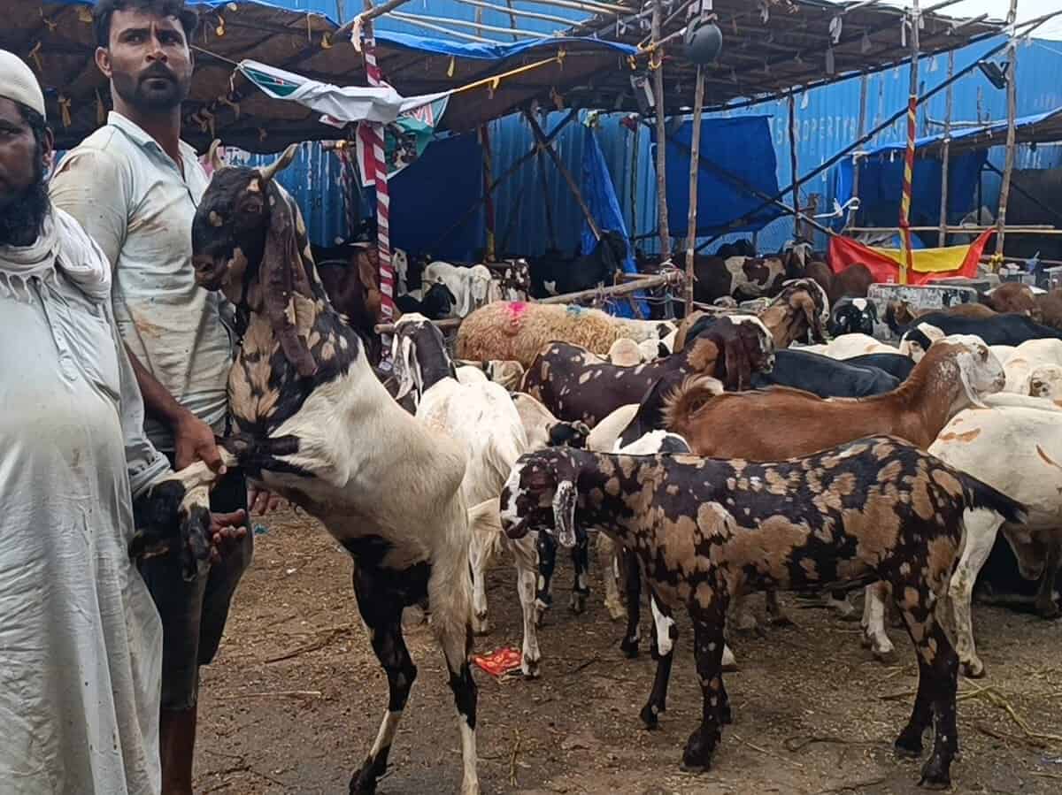 Eid al Adha