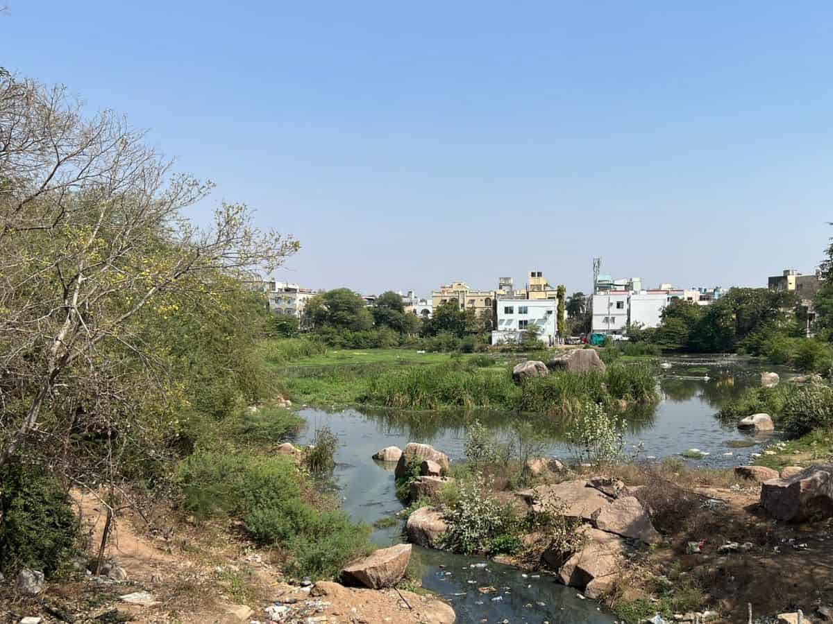 Telangana: Rs 2.9 cr allotted to clean Trimulgherry Lake
