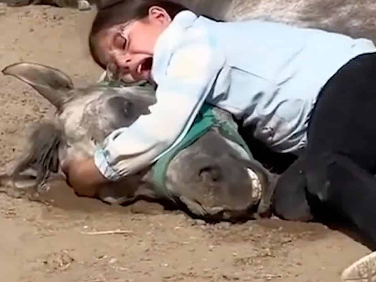 Dubai ruler gifts horses to 8-yr-old Iraqi girl after her heartbreaking video of dead mare goes viral